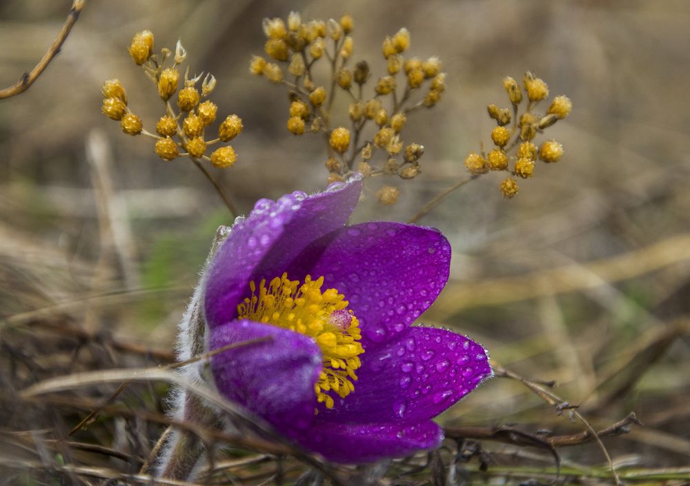 Photograph by Татьяна Титова