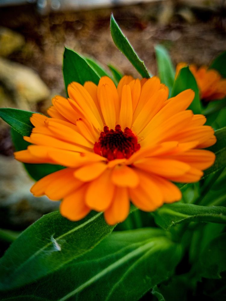 Photograph by Ирина Герлин