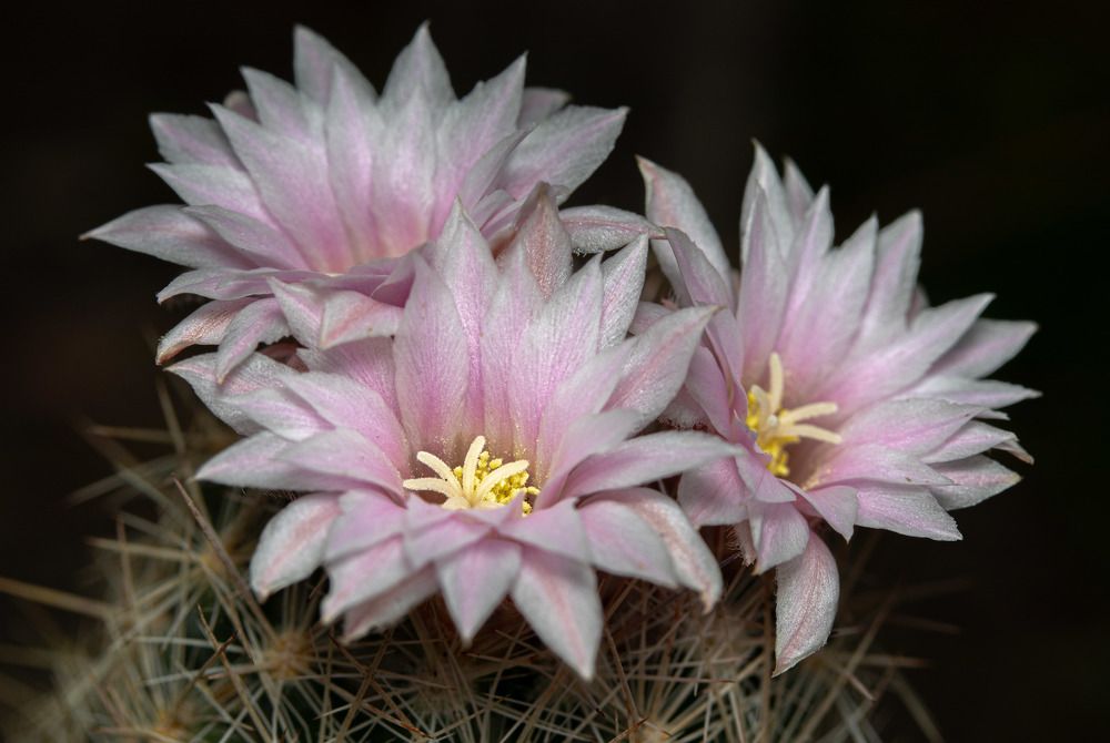 Photograph by Анатолий Костерев