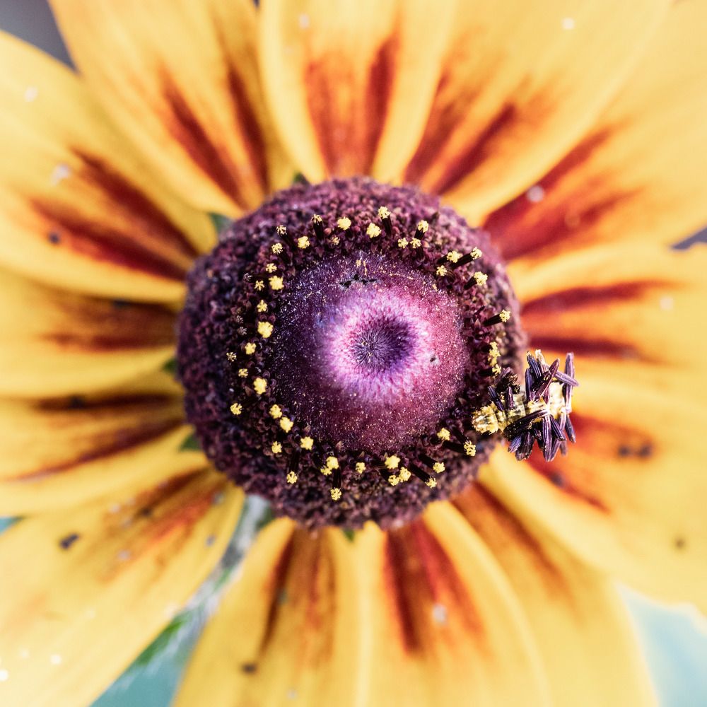 Photograph by Анатолий Костерев