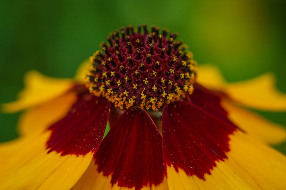 Photograph by Людмила Сливкина