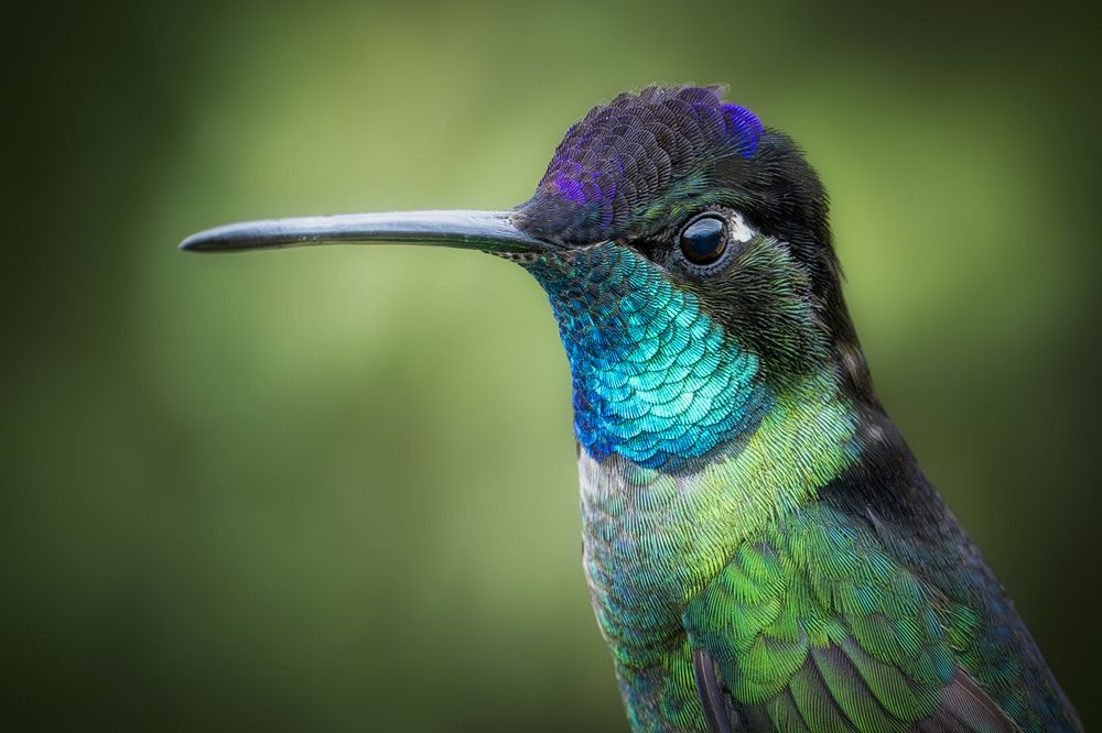 Photograph by Jose Vega