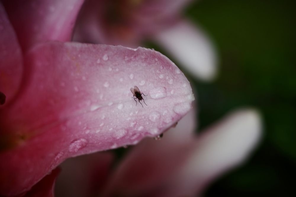 Photograph by Yana Egorova