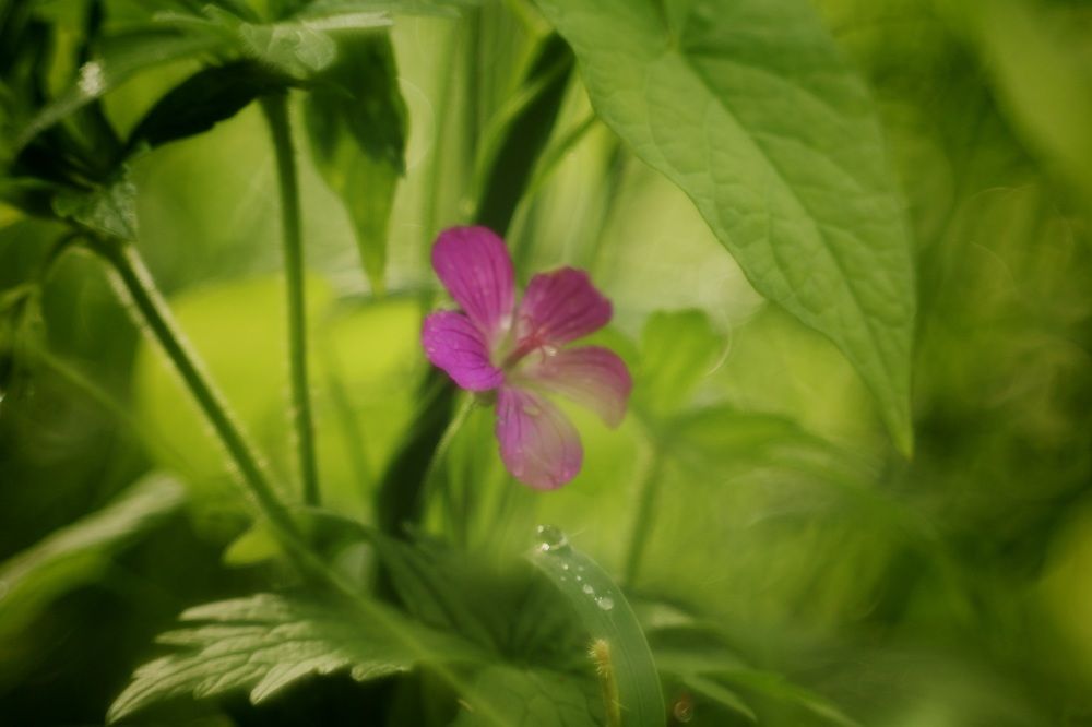 Photograph by Yana Egorova