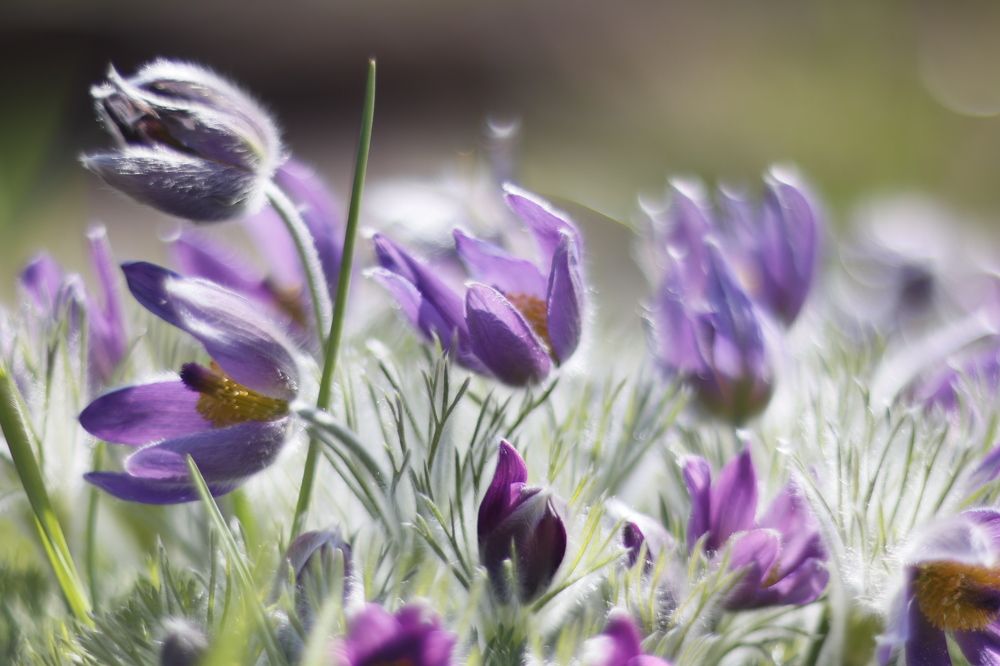 Photograph by Yana Egorova