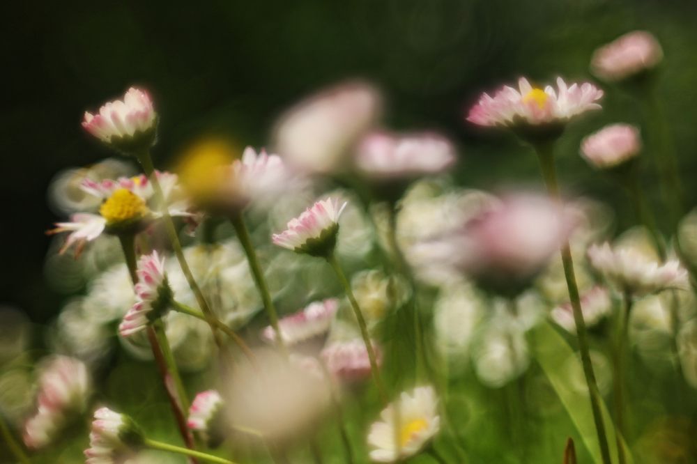 Photograph by Yana Egorova