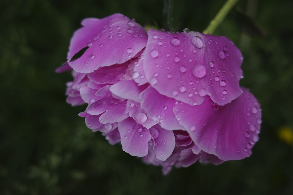 Photograph by Yana Egorova