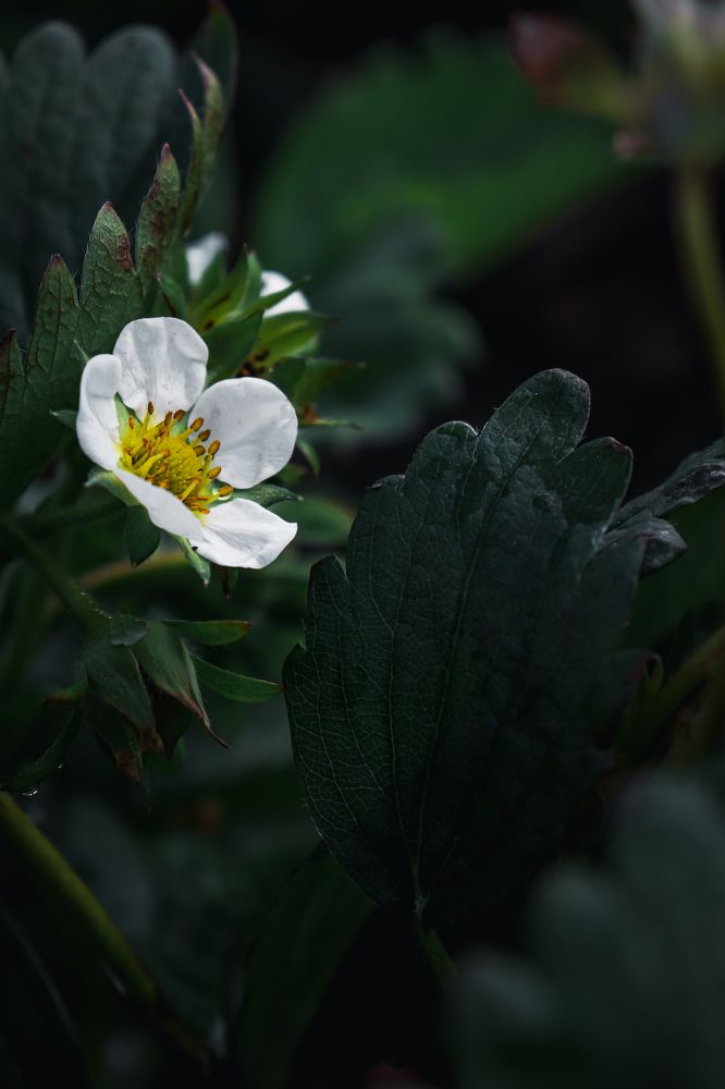 Фотография автора Илья Малеев