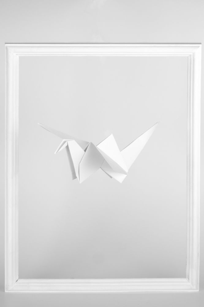 Фотография автора Дарья