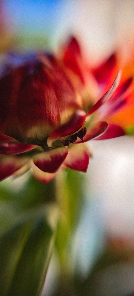 Photograph by Анна Демина