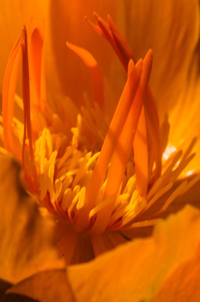 Photograph by Анна Демина