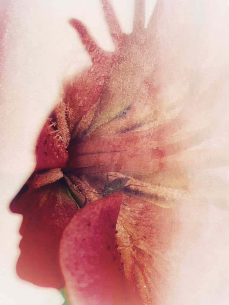 Photograph by Титаренко Людмила