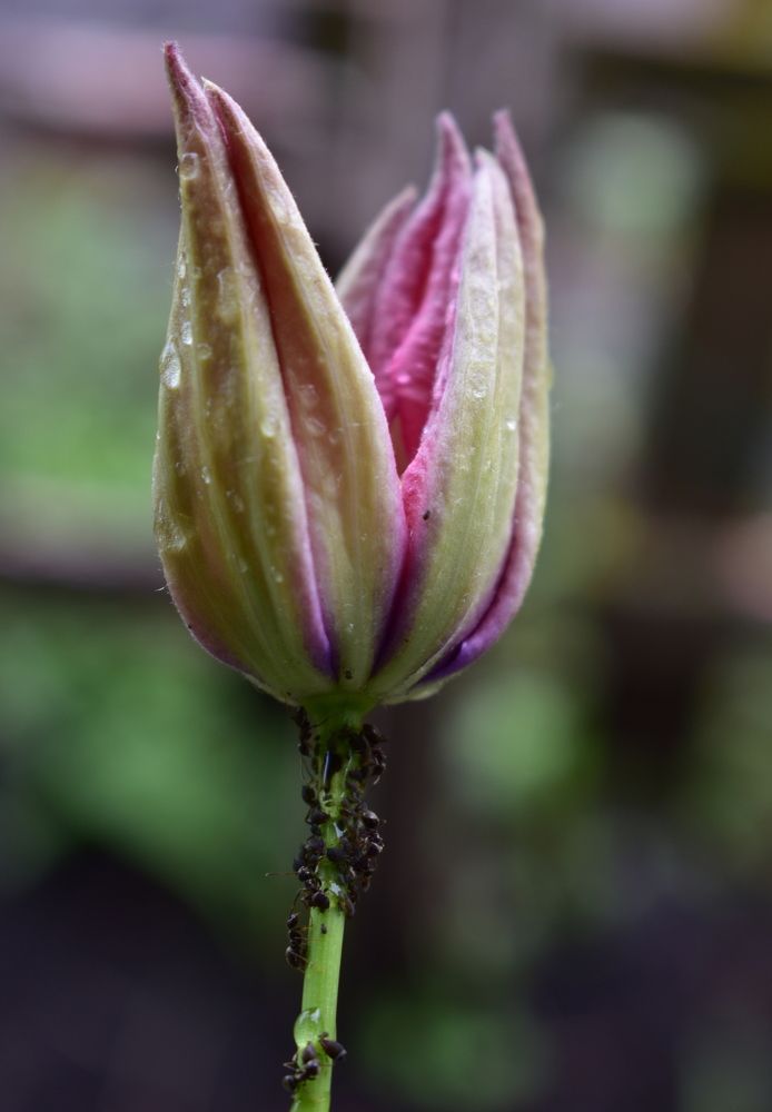 Начало пути