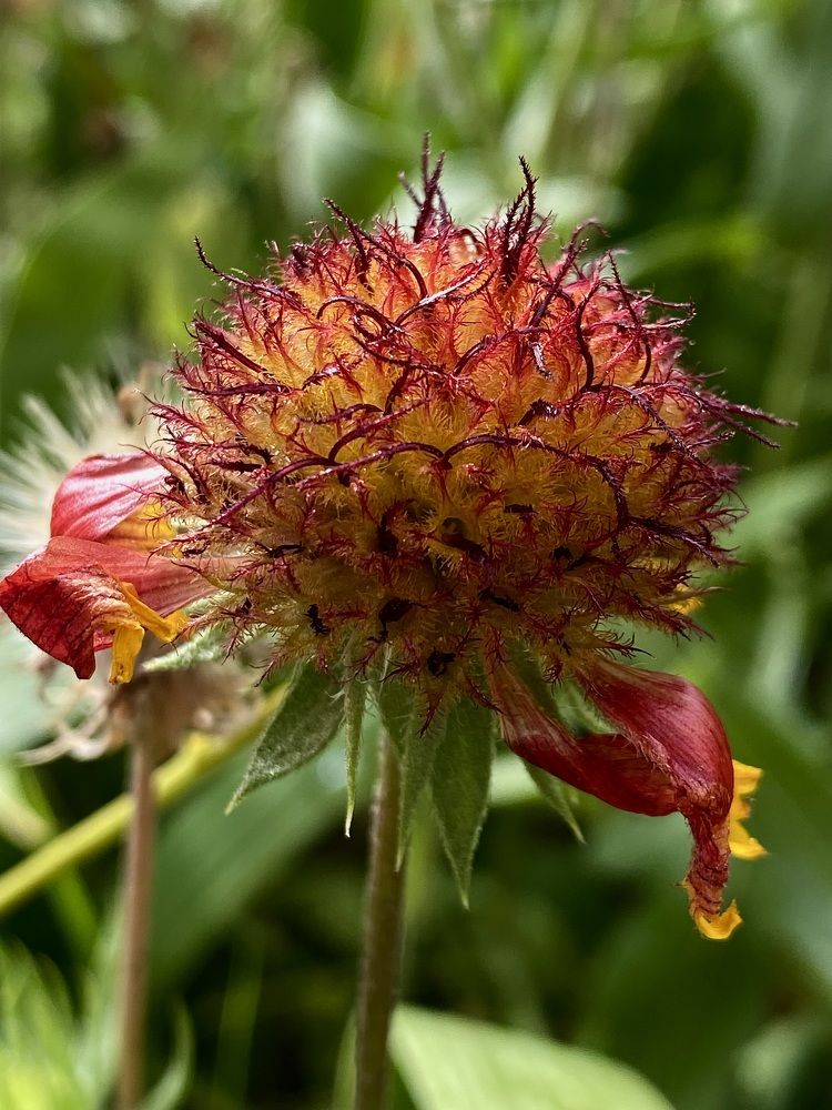 Фотография автора Ольга Лазаренко