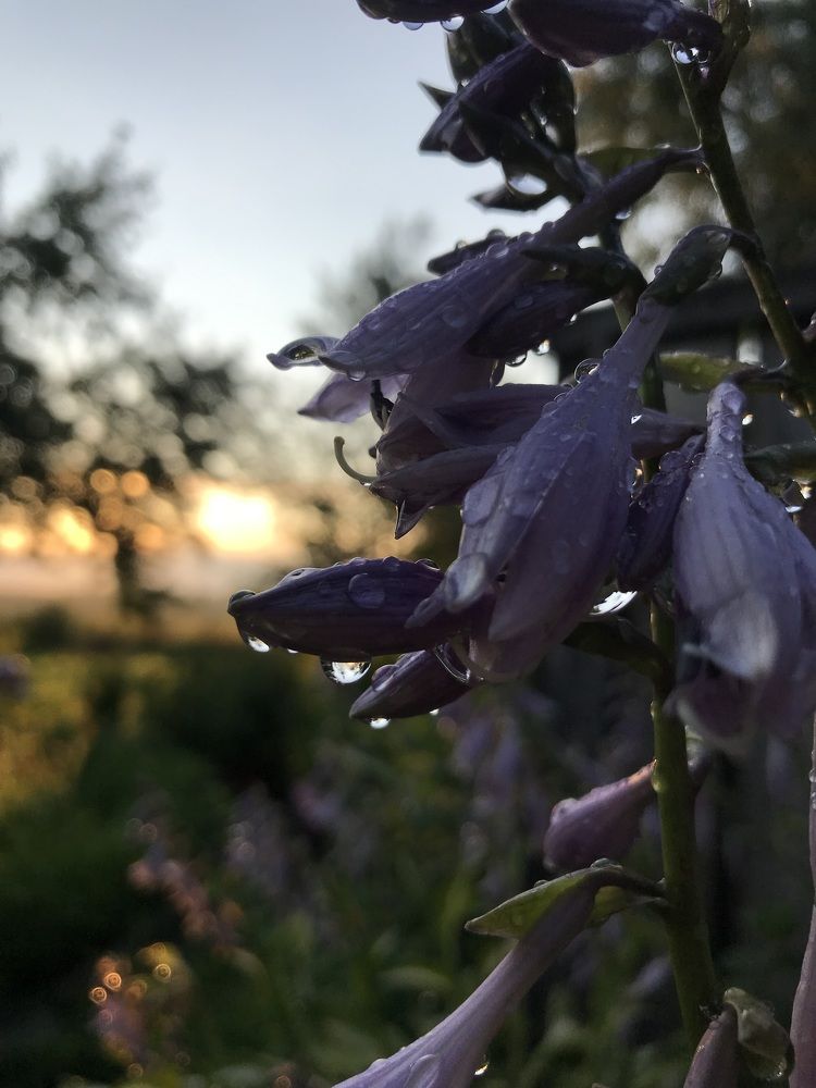 Photograph by Роман Короткевич