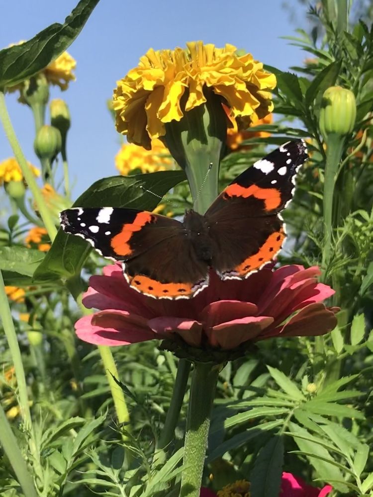 Photograph by Роман Короткевич