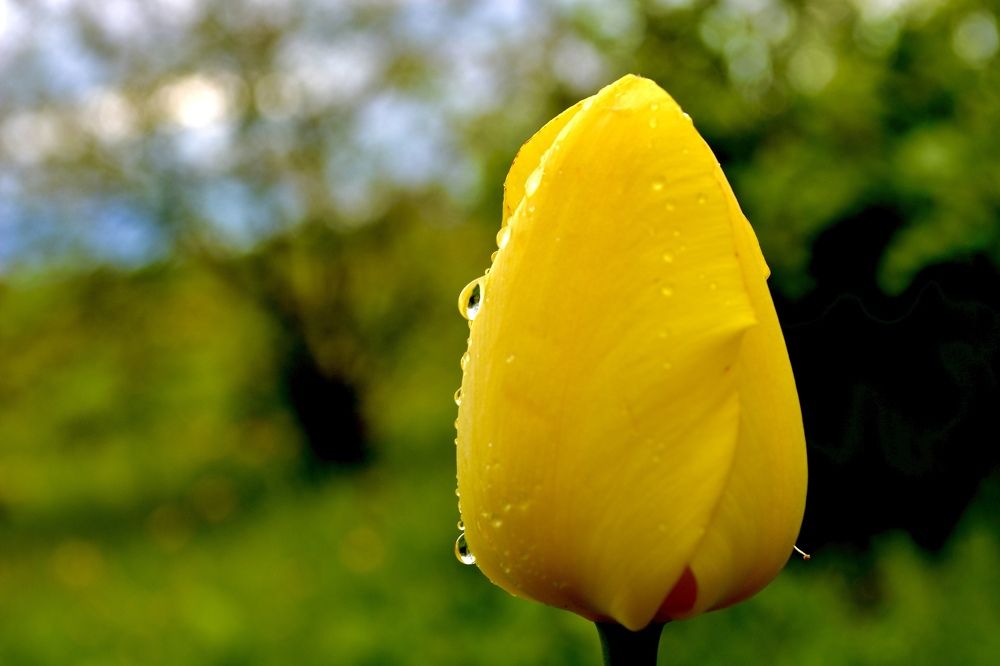 Photograph by Роман Короткевич