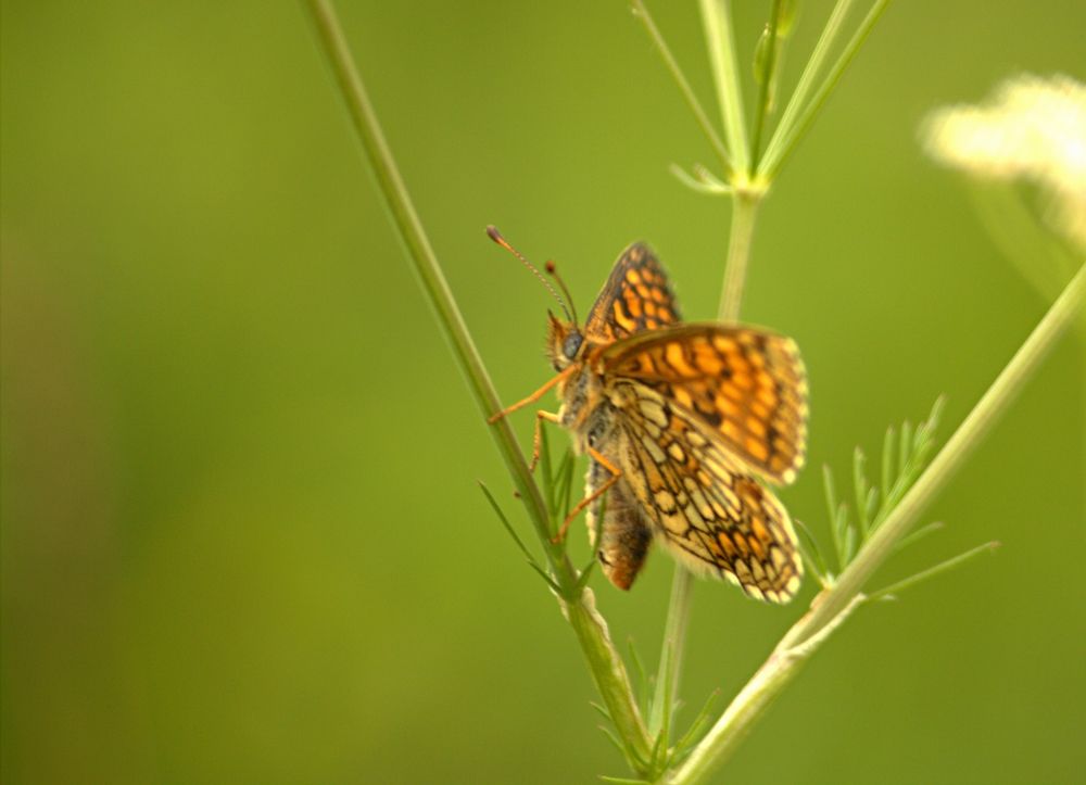 Photograph by Риф Имаев