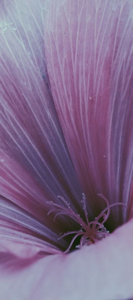 Photograph by Елена (Мори) Кузнецова