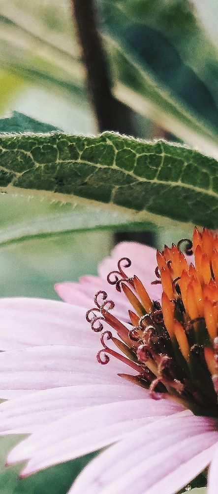 Photograph by Елена (Мори) Кузнецова