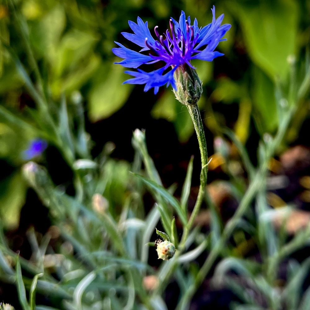 Photograph by Марина Козлова