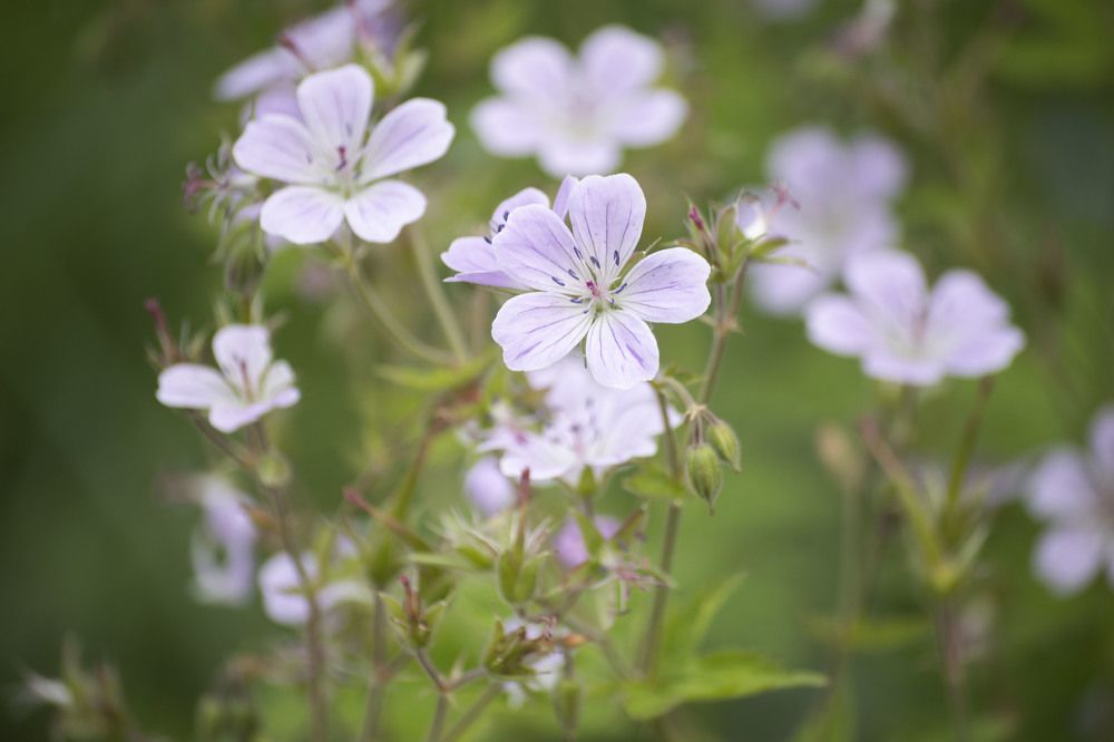 Photograph by Екатерина @Arigata