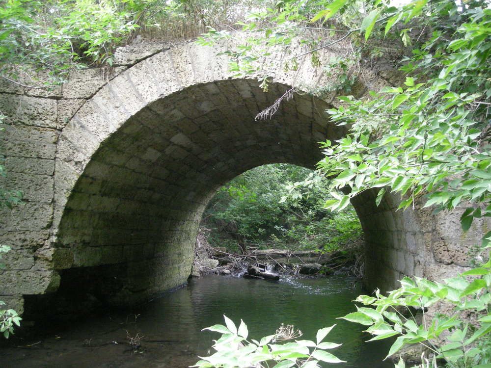 Photograph by Елена Коробченко