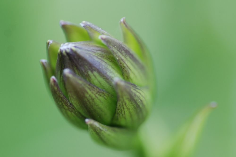 Photograph by Оксана Трофименко