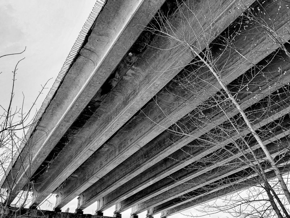 Photograph by Андрей Скрипниченко