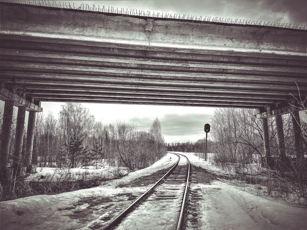 Photograph by Андрей Скрипниченко