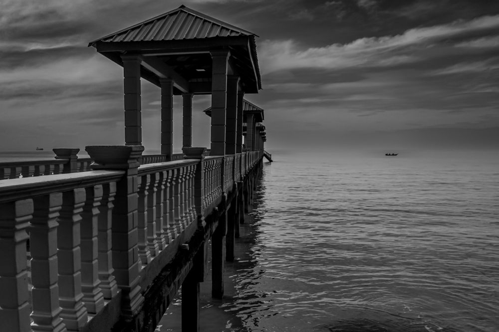 Black and white bridge Life