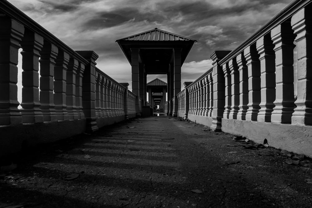Black and white bridge Life