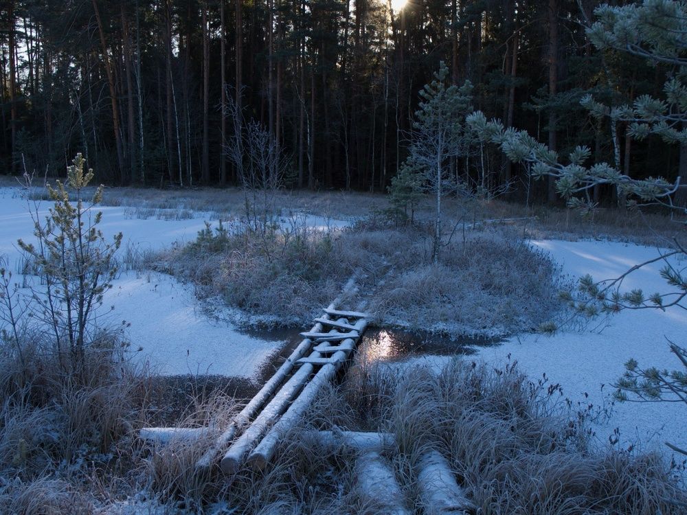 Photograph by Поляков Алексей