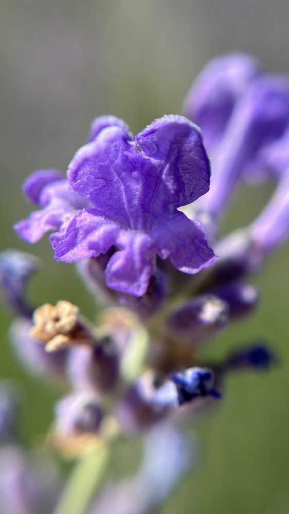 Photograph by Елена Гущина