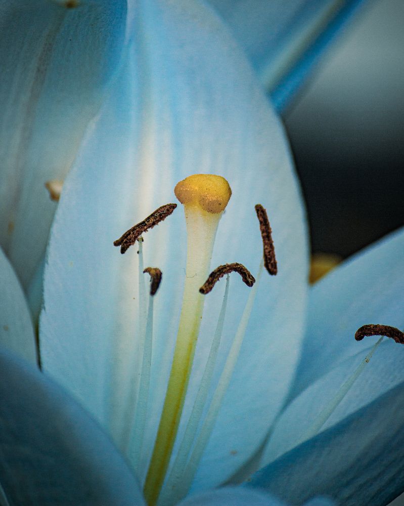 Photograph by Mikhail