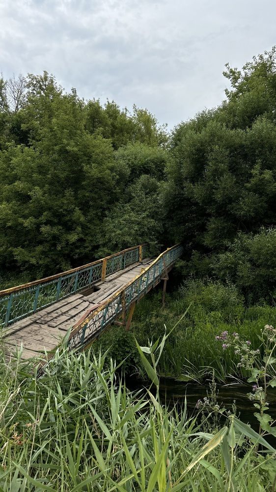 Photograph by Елена Гущина