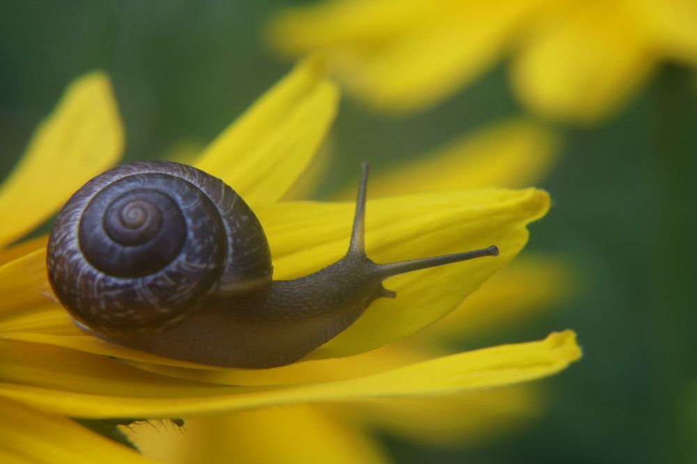 Photograph by Елена Клементьевская