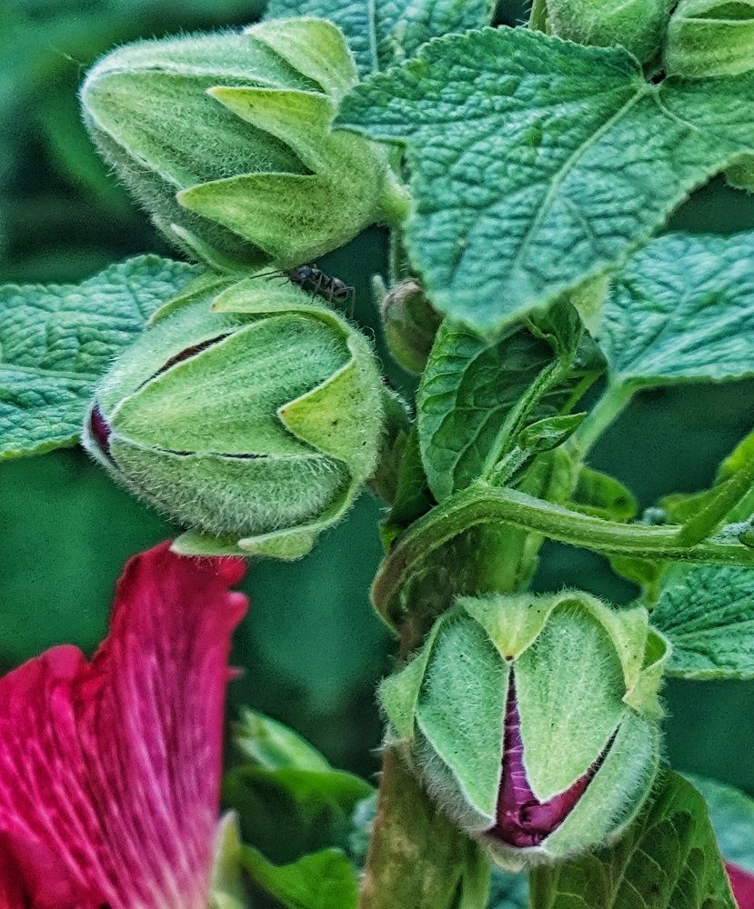 Photograph by Ирина Горбач