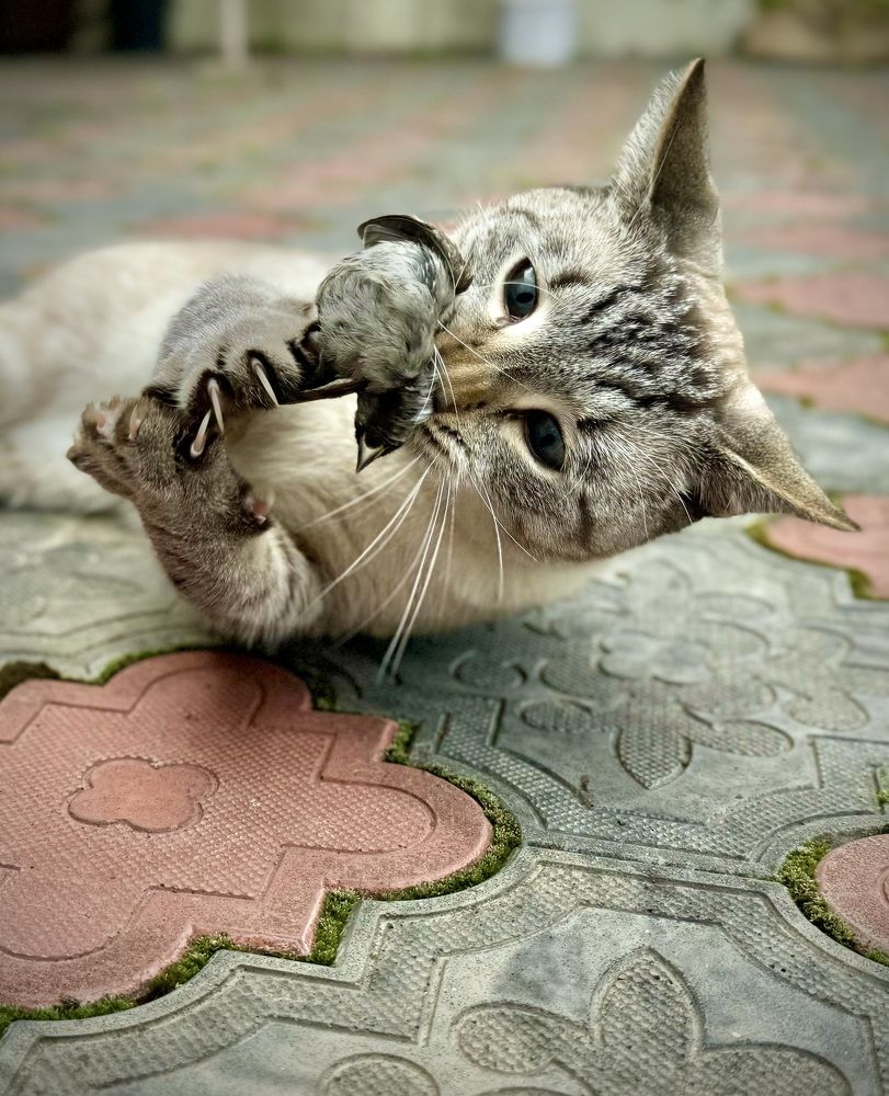 Photograph by Елена Карпухно