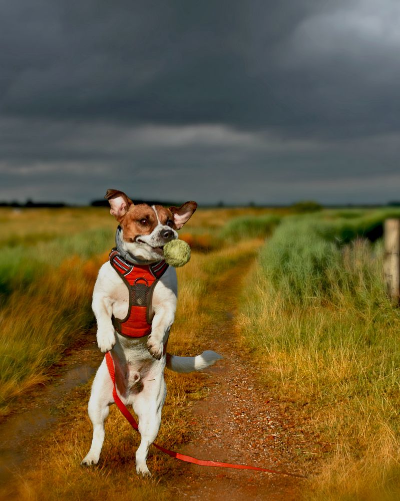 Фотография автора Ушакова Елена