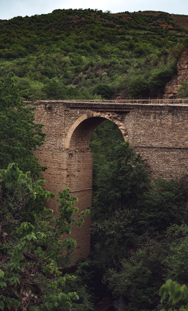 Photograph by Елена Ефимова