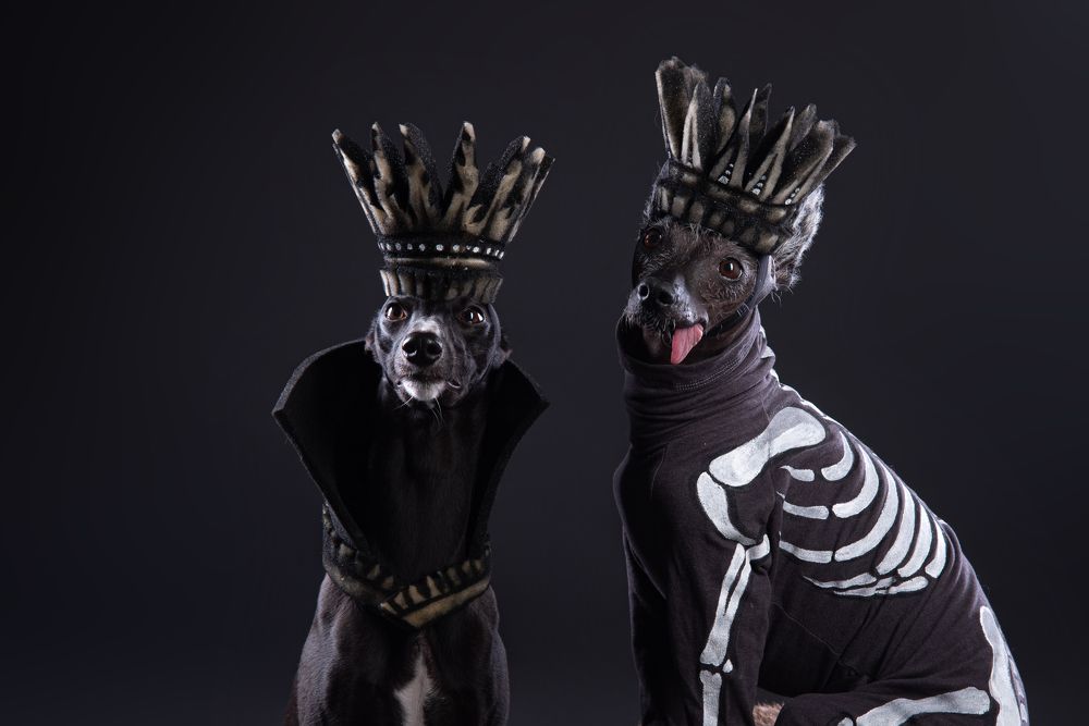 Photograph by наталья залогина