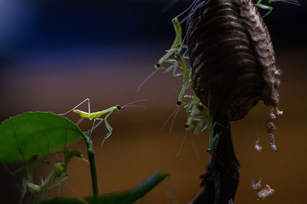 Первый день в детском саду