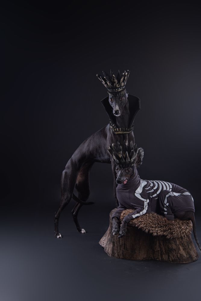 Photograph by наталья залогина