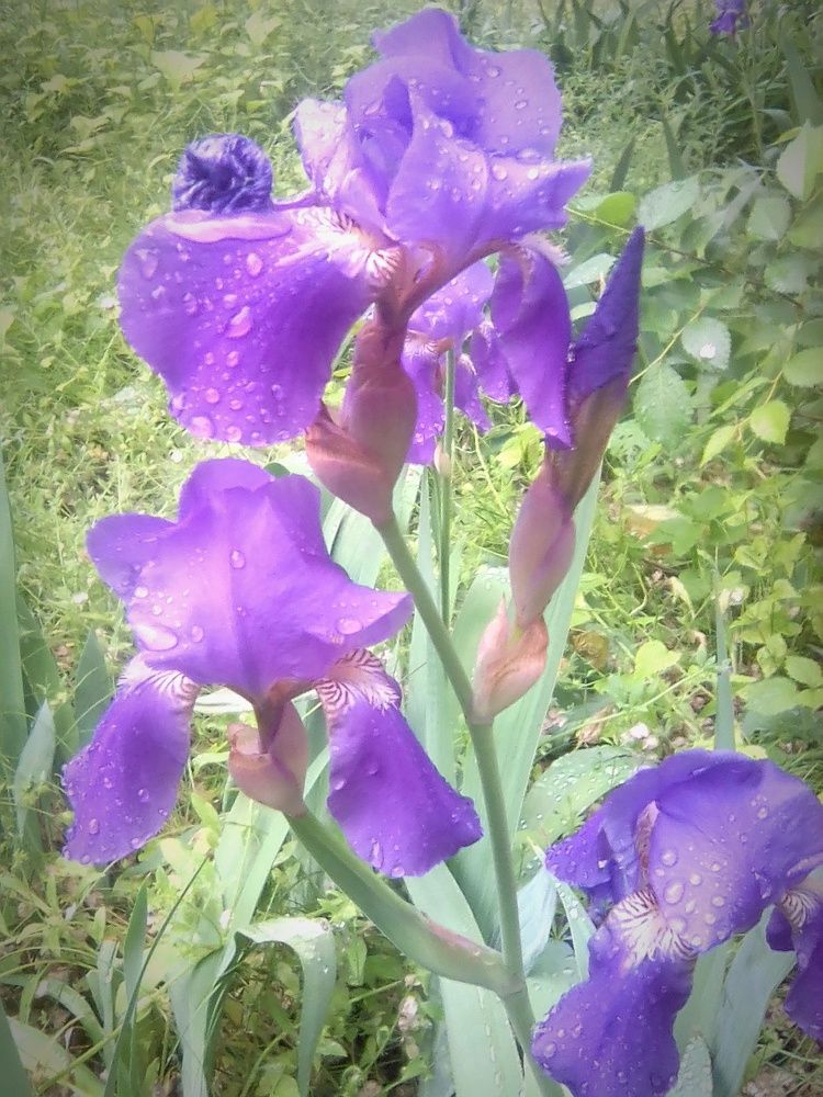 Photograph by Марта Васильева