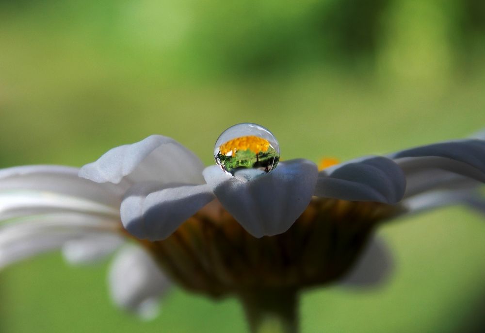 Photograph by Olja Simovic