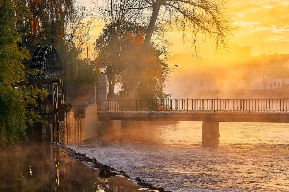 Photograph by Valentin Borsan