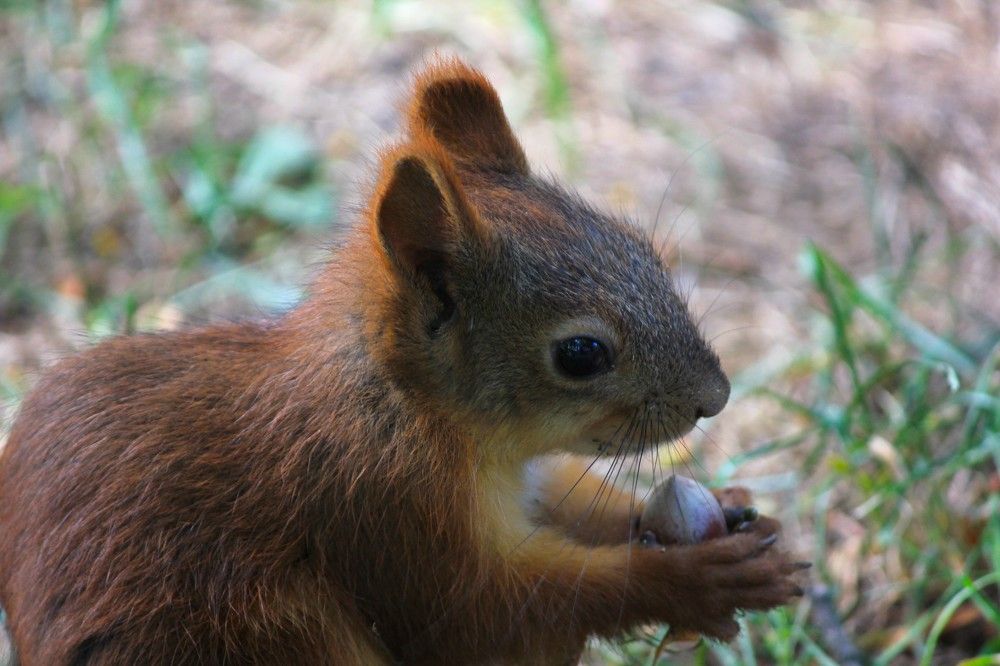 Фотография автора Вячеслав