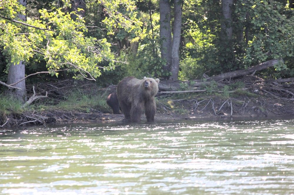 Фотография автора Вячеслав