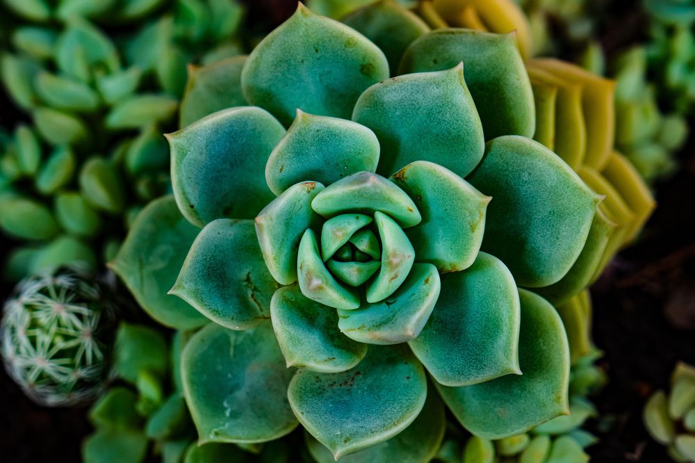 Photograph by Сергей Аверченко